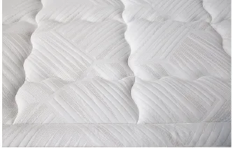 Foto Detalles Vitalis 3