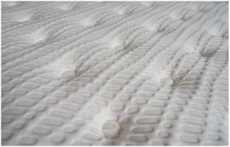 Foto Detalles Evolution 2