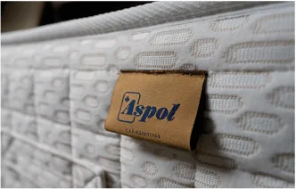 Foto Detalles Evolution 4